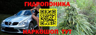 индика Гуково