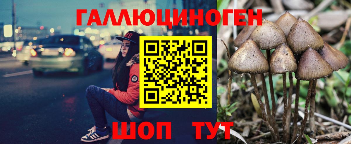 Амурск  Галлюциногенные грибы Psilocybe  Вход с VPN  Псилоцибиновые грибы Psilocybine cubensis 